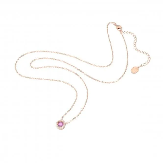 Sparkling Rose Fancy Purple Necklace 5620551
